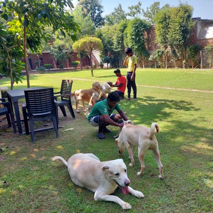 Dog boarding centres in Gurgaon