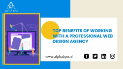 Top Benefits of Working With a Professional Web Design Agency – Alpha BPO NL