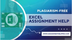Who Can Do Excel Assignment Help in USA?