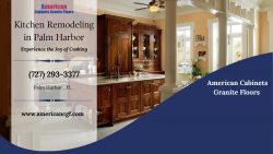 Experience the Joy of Cooking with Our Kitchen Remodeling in Palm Harbor!