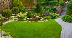 Best Camberwell Landscapers: Experts in Garden Design