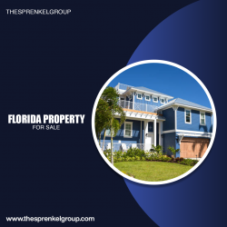 Florida Property For Sale