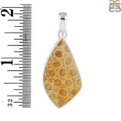 Shop Beautiful Fossilized Coral jewelry