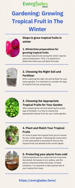 Gardening: Growing Tropical Fruit in The Winter