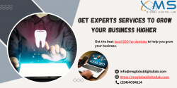 Get Experts Services to Grow Your Business Higher