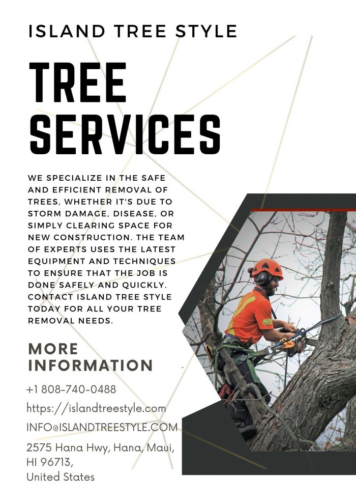 Get The Best Tree Service at Very Comfort Price | Island Tree Style
