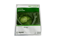Buy Gloria Star F1 Cabbage Seeds at Best Price