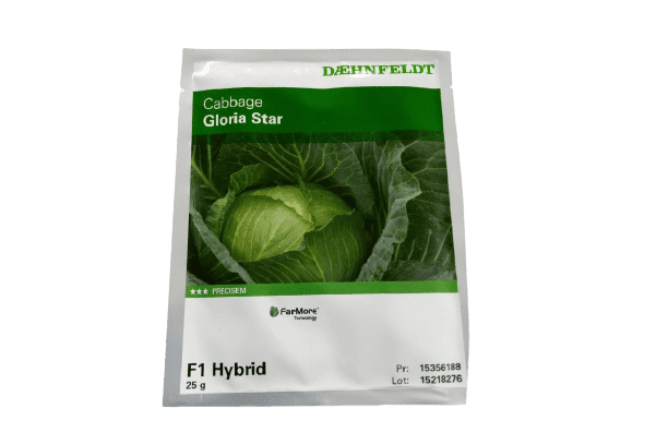 Buy Gloria Star F1 Cabbage Seeds at Best Price