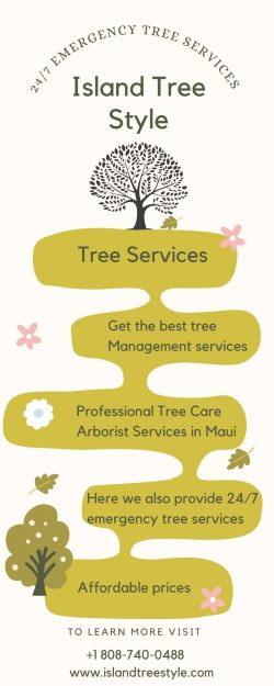 Hire Highly Skilled Tree Service In Maui