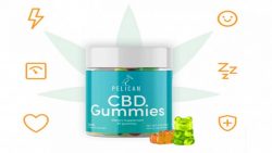 Pelican CBD Gummies : Its Cost And Where To Shop?