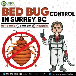 Bed bug control services in surrey bc