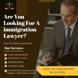 Canadian immigration Lawyer