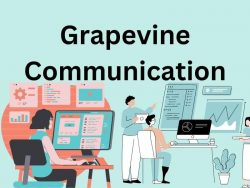 Grapevine Communication