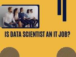 Is Data Scientist an IT job?