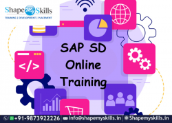 Know about SAP SD Online Training