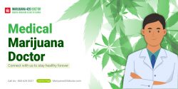 Licensed Medical Cannabis Card Services