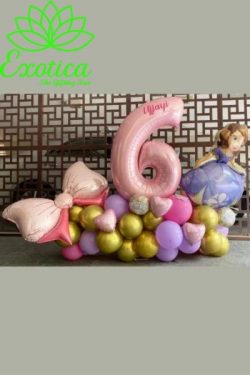 Make Their Day Special with Happy Birthday Balloons Online
