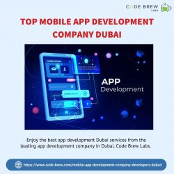 Leading App Development Company In Dubai | Code Brew Labs