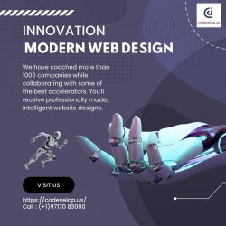 Modern Web Design Innovations