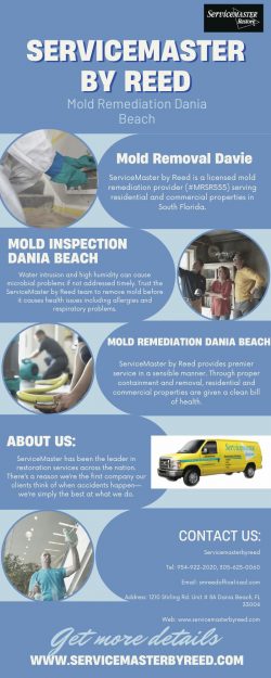 Call Now Mold Remediation Services in Dania Beach