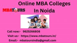 Online MBA Colleges In Noida