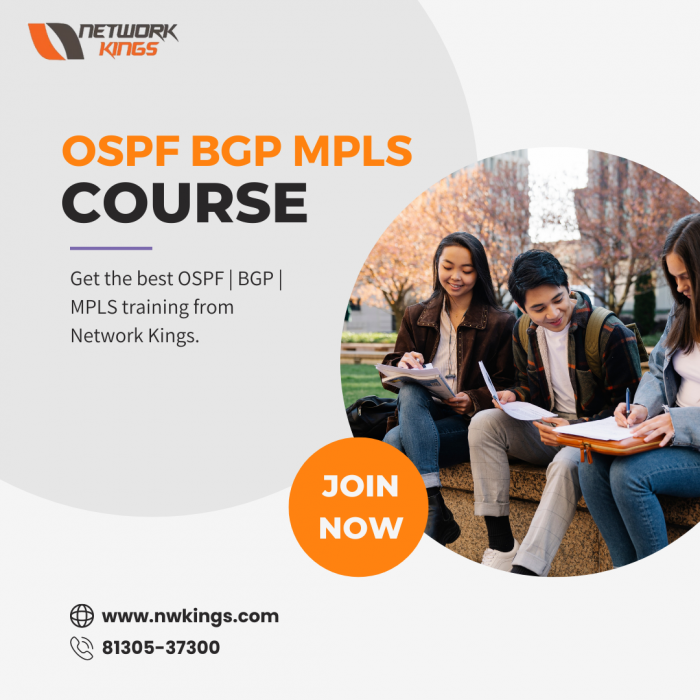 Best OSPF BGP MPLS Course