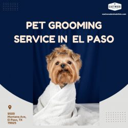 Pet Grooming Service in El Paso