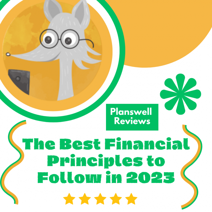 Planswell Reviews – Best Ways to Make Bigger Financial Changes