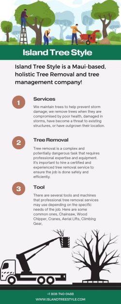 Safely Removing Trees | Professional Tree Removal Services