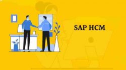 What Are SAP HCM Concepts?