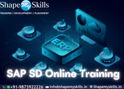 Top SAP SD Online Training