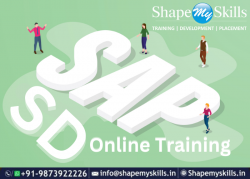 Best SAP SD Online Training | ShapeMySkills
