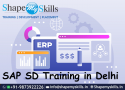 Know about SAP SD Training in Delhi | ShapeMySkills