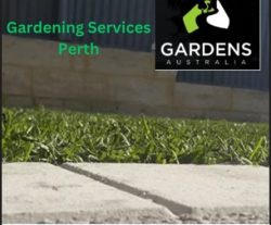 Are You Seeking For Best Gardening Business In Perth Australia?