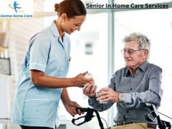 Compassionate and Professional Senior In-Home Care Services: Helping You Age Gracefully