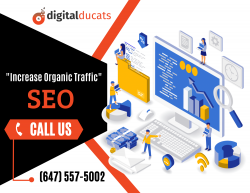 Boost Your Business with SEO Experts