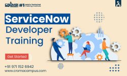 How To Become a ServiceNow Developer?