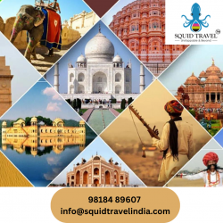 Tour Packages To India From USA | Squid travel