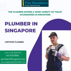 The Plumber offers Toilet Accessories in Singapore