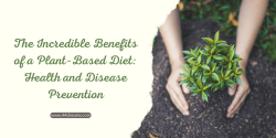The Incredible Benefits of a Plant-Based Diet