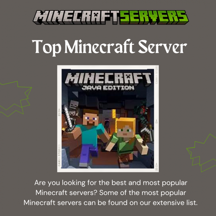 Top Minecraft Server