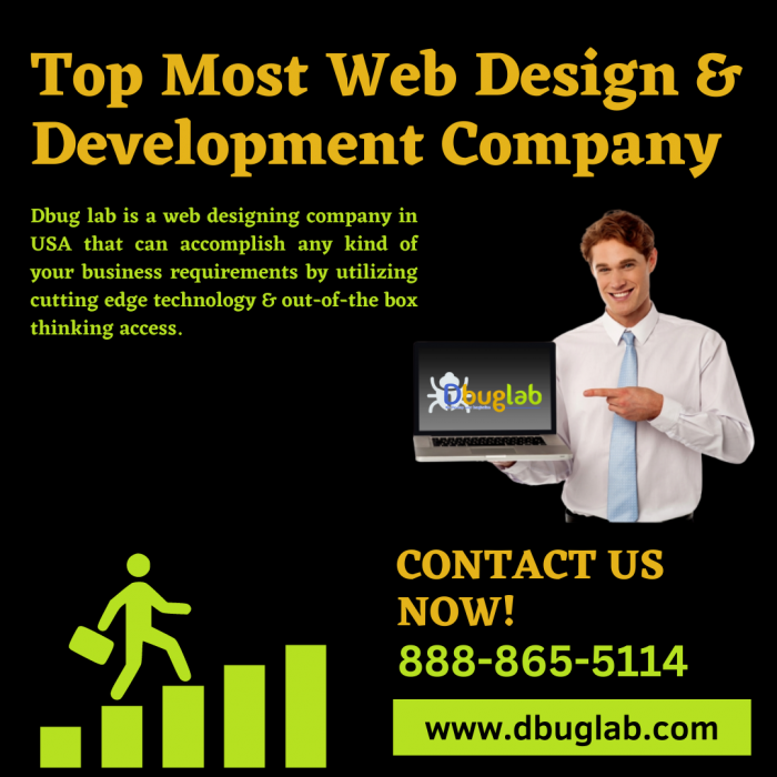 Top Most Web Design and Development Company in USA
