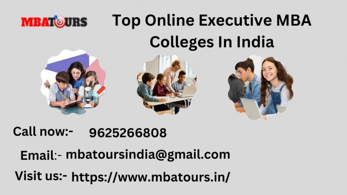 Top Online Executive MBA Colleges In India