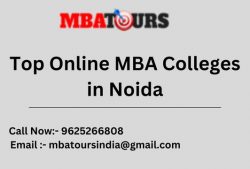 Top Online MBA Colleges in Noida