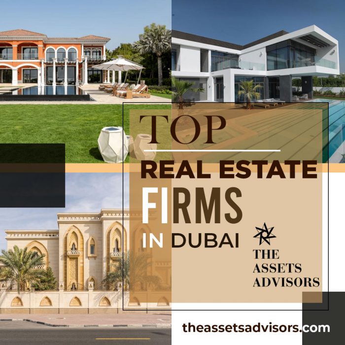 Discover the Best Real Estate Firms in Dubai with The Assets Advisors