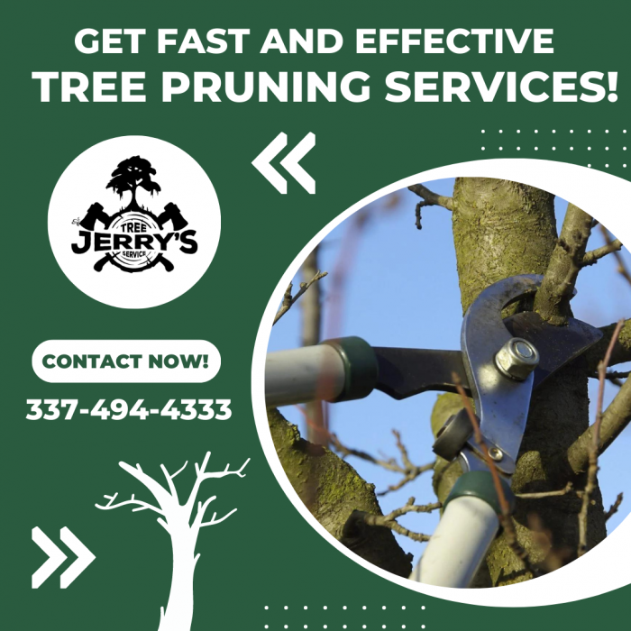 Get Expert Pruning Services for Your Deciduous Tree!