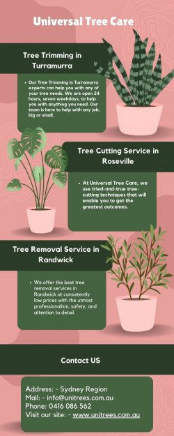 Affordable Tree Services in Sydney
