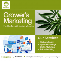 Best Cannabis Website Development Company