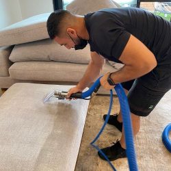 Best Upholstery Cleaning In Adelaide