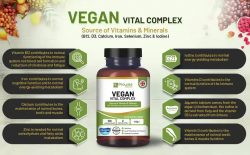 Vegan Vital Multivitamins and Minerals | 120 Vegan Multivitamin Capsule